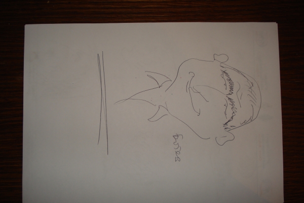 dsc0685574B3BA0C-3127-A433-BD28-E84E7AE1D70F.jpg